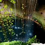 CENOTE